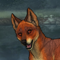 The Most Foxy Wolf Headshot