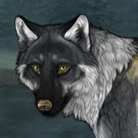 Wolf Headshot