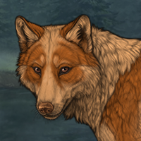 Wolf Headshot