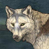 Wolf Headshot