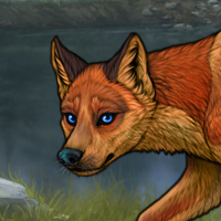 New Puppy fox Headshot