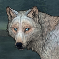 Nerthus Headshot