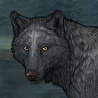 Wolf Headshot