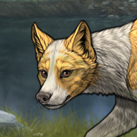 ShinePelt Headshot