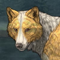 ShinePelt Headshot