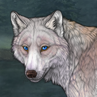 Starwolf Headshot