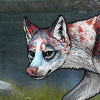 Wisp collector Headshot