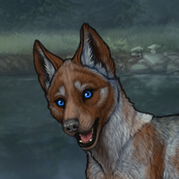 29SC brown male pup Headshot