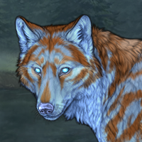 Addie Headshot