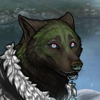 MothPelt Headshot