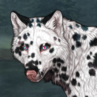 Piebald: Dalmatian | Fem Headshot