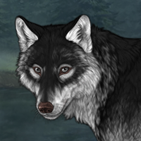 Wolf Headshot