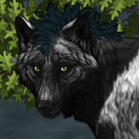 Wolf Headshot