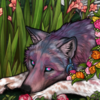 Wolf Headshot