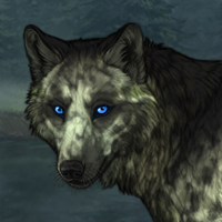 Wicked Winterwolf Headshot