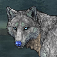Moonlit Fur Headshot