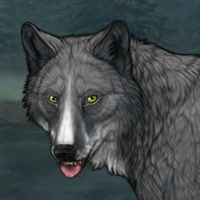 Wolf Headshot