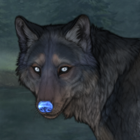 Blueschist Husky !!! Headshot