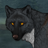 Wolf Headshot