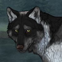 Wolf Headshot