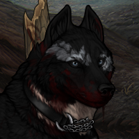 Wolf Headshot