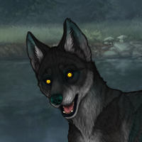 -Oryx- Headshot