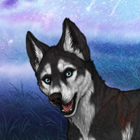 Klaus Headshot