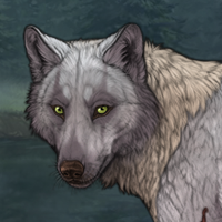 Wolf Headshot