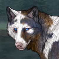 Piebald Headshot