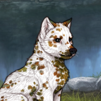 Piebald Dalmatian Headshot