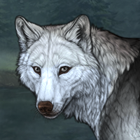 Wolf Headshot