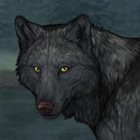 Wolf Headshot