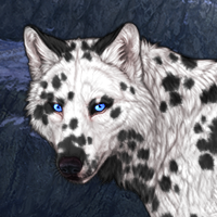 Piebald: Dalmatian Headshot