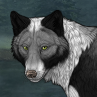 Wolf Headshot