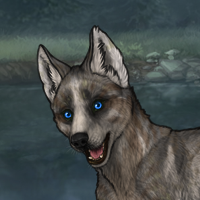 Vanyssi Pup Headshot