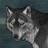 False Indigo Headshot