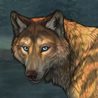 Lycan Headshot