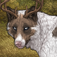 Deer Headshot