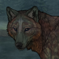Avizan Headshot