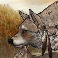 Wolf Headshot