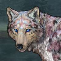 Nerthus Headshot