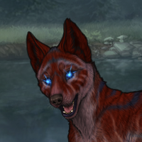 New Puppy T1 4m red blu Headshot