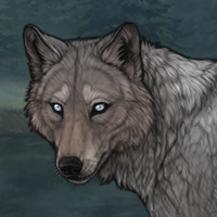 Wolven Headshot