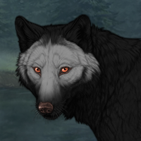 Wolf Headshot