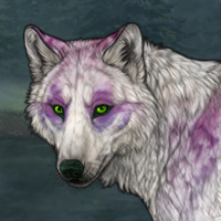howling wolf scout Headshot