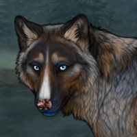 Aleu |C| Headshot