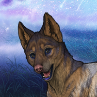 T2 F / 4M / Tranquil Eyes Headshot