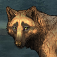 Golden Badger Headshot