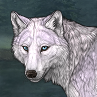 Oren Headshot