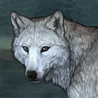 Wolf Headshot